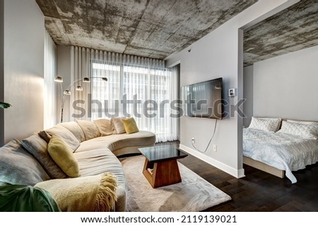 Apartment for rent in downtown Montreal, staged, furnished with roof top, sauna, billiards, pool and city views