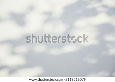 Shadows of sunlight shining through the wooden floor white cement floor