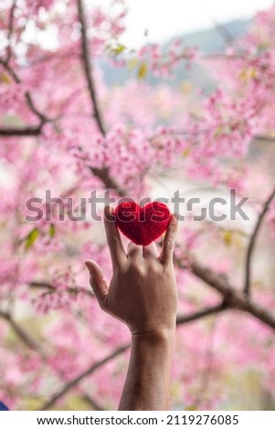 The man raised his hand above his head and made a love sign saying I love you, and in his hand was a red heart sign on blurry background of beautiful pink cherry blossoms. friendship and love concept