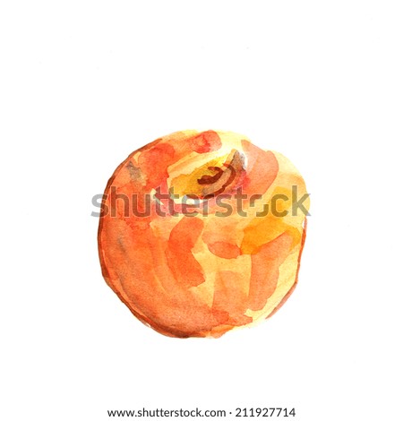 Illustration of a peach. Watercolor