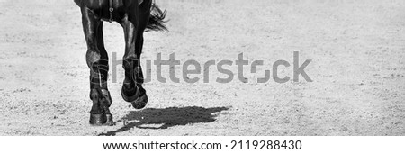 Rider and horse in jumping show, black and white. Beautiful girl on horse, monochrome, equestrian sports. Horse and girl in uniform going to jump. Horizontal web header or banner design. Royalty-Free Stock Photo #2119288430