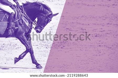 Rider and horse in jumping show, monochrome peri. Beautiful girl on horse, monochrome, equestrian sports. Horse and girl in uniform going to jump. Horizontal web header or banner design.