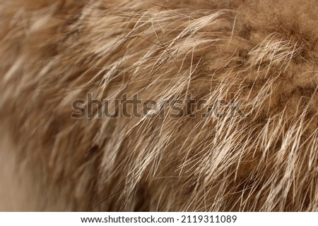 Faux fur close-up. The concept of abandoning natural fur, a two-way against natural fur, sustainable, ban the sale of fur Royalty-Free Stock Photo #2119311089