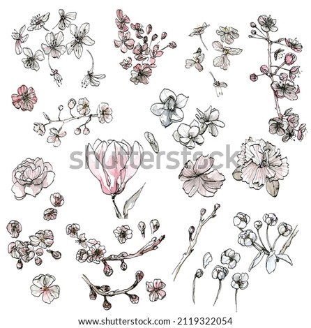 Big watercolor illustration set of a pastel romantic flowers, sketch with ink, hand drawn, isolated on a white background. Elegant floral bundle for wedding design, date or Valentine's day.