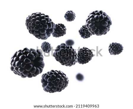 Ripe blackberries levitate on a white background Royalty-Free Stock Photo #2119409963