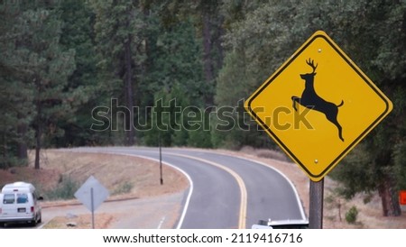 Deer crossing warning yellow sign, California USA. Wild animals xing traffic signage for safety driving on road. Wildlife fauna protection from cars in Yosemite national park forest. Road trip concept Royalty-Free Stock Photo #2119416716