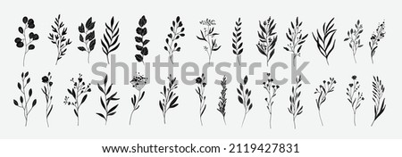 Minimal feminine botanical floral branch in silhouette style. Hand drawn wedding herb, minimalistic flowers with elegant leaves. Botanical rustic trendy greenery vector Royalty-Free Stock Photo #2119427831