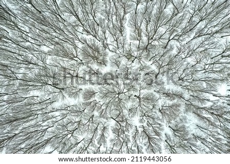 Snowy forest aerial view, shot from a drone