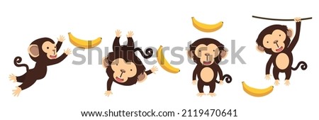 Cute  monkey cartoon character set