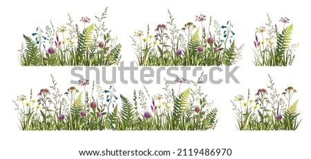 Spring or summer colorful floral set with meadow wild herbs and flowers. Wild flowers. Vector illustration.