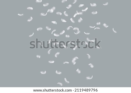 Abstract Down Feathers. Group of White Bird Feathers Falling in The Air. Swan Feather on Gray Background. 	
