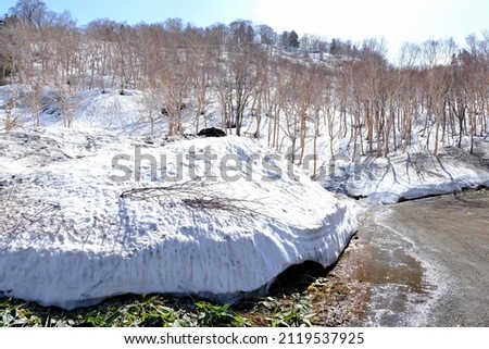 Snow cover on dry trees in along the road on the way to Mount Akita Iwate, Hachimantai Aspite Line, scenic drive in Tohoku, Japan. Royalty-Free Stock Photo #2119537925