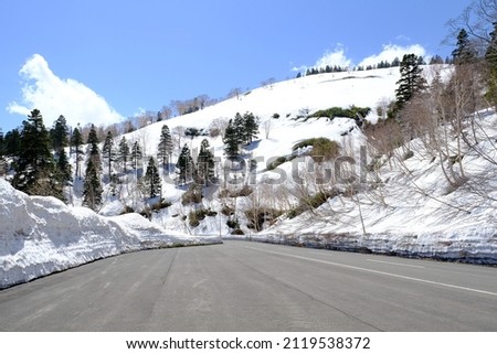 Hachimantai Aspite Line , snow layer cover along both way of road and forest on Mount Akita Iwate, scenic drive in Tohoku, Japan. Royalty-Free Stock Photo #2119538372