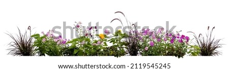 Flowerbed with different blooming plants and flowers isolated on white background Royalty-Free Stock Photo #2119545245