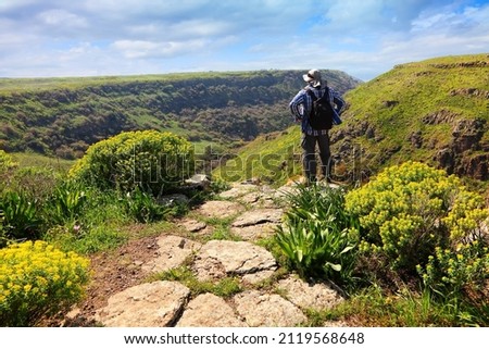 Traveler man looks over the green spring flowering canyon on tourist trail to Daliyot waterfalls. Flowering hills covered with Woody Spurge plants. Springtime landscape. Golan Heights. Israel Royalty-Free Stock Photo #2119568648