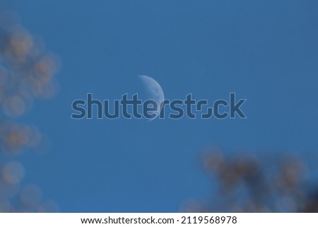 half moon in a blue sky