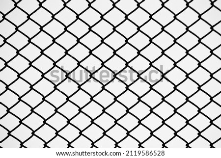 wire mesh on a white background close-up
