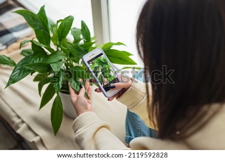 A woman florist blogger photographs a home plant Spathiphyllum in a pot on a mobile phone camera. Home plant breeding, gardening, working online social media influencer. Soft selective focus.