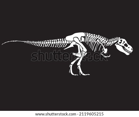 Tyrannosaurus Rex dinosaur skeleton silhouette in isolate on black background. Vector illustration.