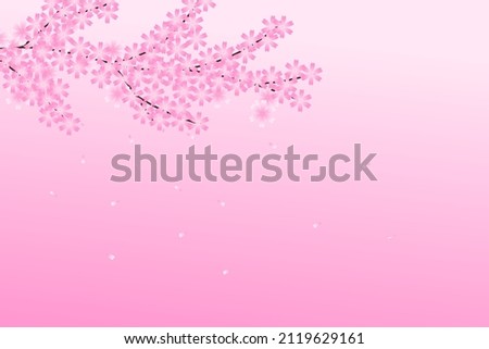 Cherry blossoms spring flower background