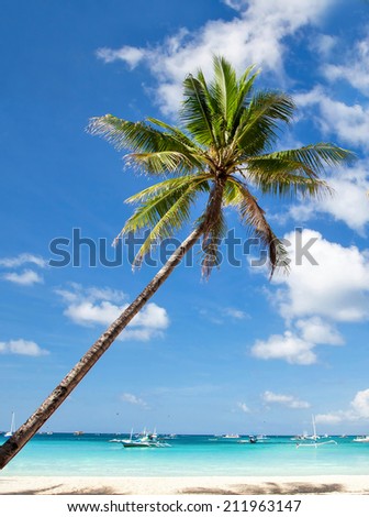 Palms on tropical beach, Philippines, Boracay