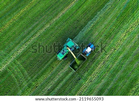 Cutting grass silage at field. Forage harvester on grass cutting for silage in field. Self-propelled Harvester on Hay making for cattle at farm. Tractor with trailer transports hay and grass silage.
 Royalty-Free Stock Photo #2119655093