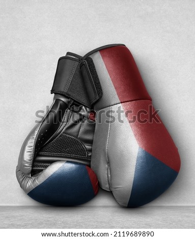 Czech Republic Boxing Gloves on flor with country flag painted on