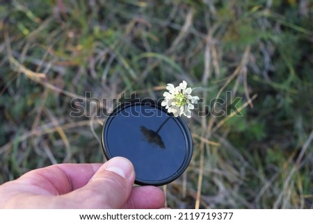 A white flower with its reflection in the Circular Polarizer Filter.