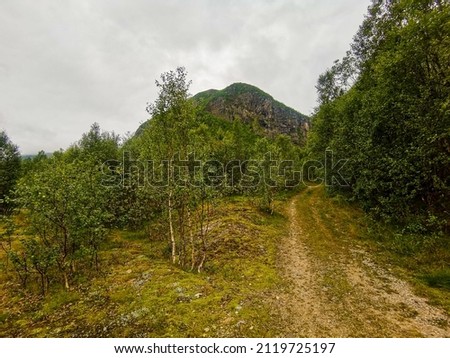 path in the mountains , Digital created image Picture