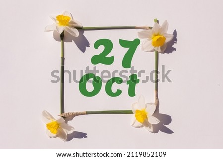 October 27th. Day of 27 month, calendar date. Frame from flowers of a narcissus on a light background, pattern. View from above. Summer month, day of the year concept.