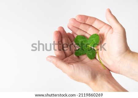 Hands holding shamrock on white background. A four leaf clover. Good for luck or St. Patrick's day. Shamrock, symbol of fortune, happiness and success. Holding good luck in hands. Make a wish concept