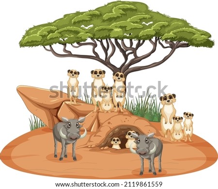 Isolated savanna forest with meerkat and boars illustration