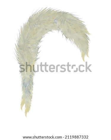 Pampas grass arch watercolor. Wedding card in boho style. Hand drawn botanical illustration of dried flowers in Bohemian style. Invitation and congratulations in soothing natural colors design.