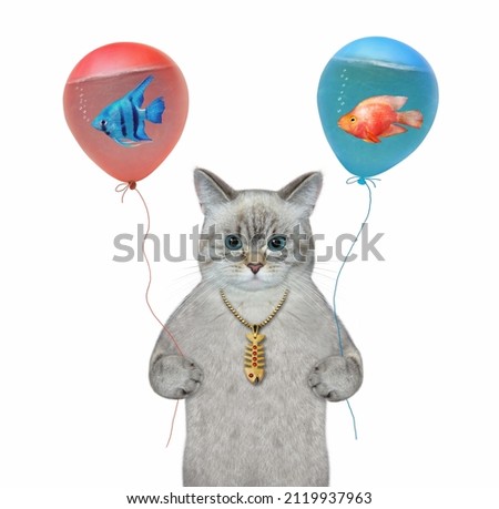An ashen cat holds balloons with water. Inside them are aquarium fish. White background. Isolated.