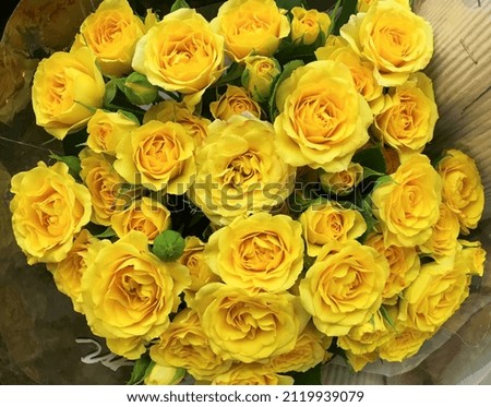 Many yellow roses as background, top view. Floral decor

