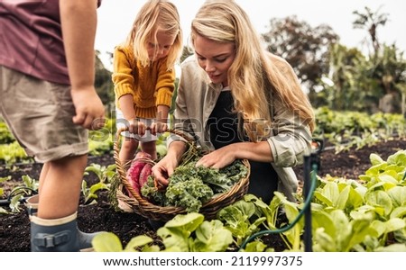 Young single mother gathering fresh vegetables with her children. Young family of three reaping fresh produce on an organic farm. Self-sustainable family harvesting from a vegetable garden. Royalty-Free Stock Photo #2119997375