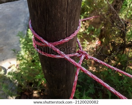 A red and white thin rope is tied to a wooden pole to support a plant on a garden