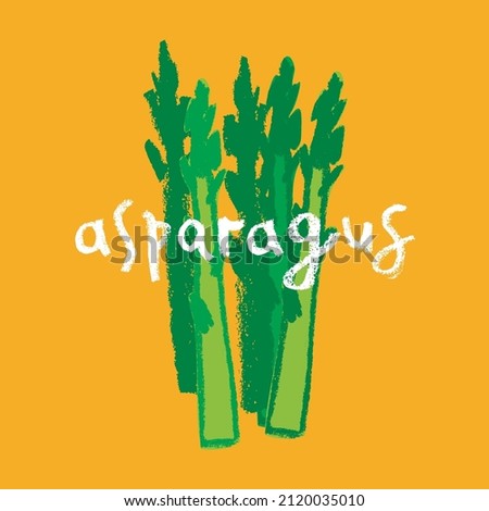 Vector asparagus icon. Pencil textures. Green sparrow grass illustration isolated. Vegan restaurant logo, vegetarian symbol. Cooking sign. Vegetable drawing for label. Word asparagus hand-lettering. Royalty-Free Stock Photo #2120035010