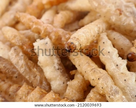 close up Bamboo Caterpillar ( Omphisa fuscidentalis ) fried for a snack, Thai street food Royalty-Free Stock Photo #2120039693