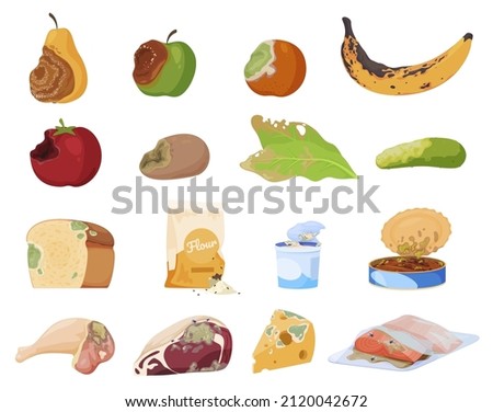 Collection rotten poison products vector isometric illustration. Danger expired food with mold and insects isolated. Dirty unhealthy fruits, seasonal vegetables, bread, meat, conservation, cheese Royalty-Free Stock Photo #2120042672