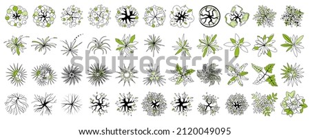 Trees and plants top view. Icon set of colored trees and grass for architectural and landscape design. Green spaces. Element isolated on white. Vector illustration. Element for design project
