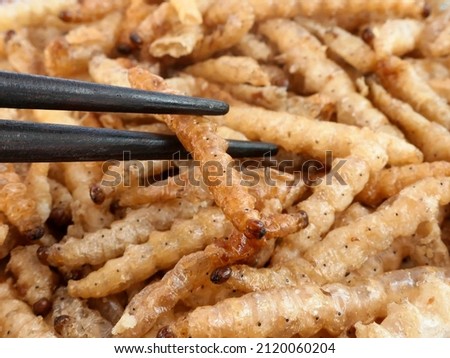 close up Bamboo Caterpillar ( Omphisa fuscidentalis ) fried for a snack, Thai street food Royalty-Free Stock Photo #2120060204