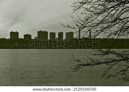 Artistic view of a seaside city landscape with trees in the foregrodun
