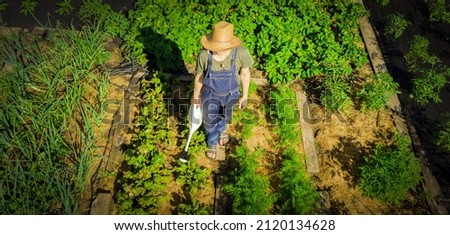 A young man in a straw hat is standing in the middle of his beautiful green garden, covered in black garden membrane, view from above. A male gardener is watering the plants with watering can Royalty-Free Stock Photo #2120134628