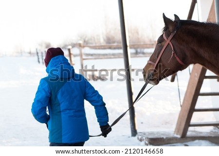 Person (pets owner) going to ride on horse on ranch in winter sunny day