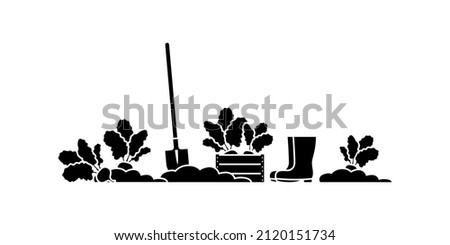 Harvest of beet root vegetable vector illustration set. Gardening, farming on ground with shovel, gum boots icon silhouette pictogram on white Royalty-Free Stock Photo #2120151734