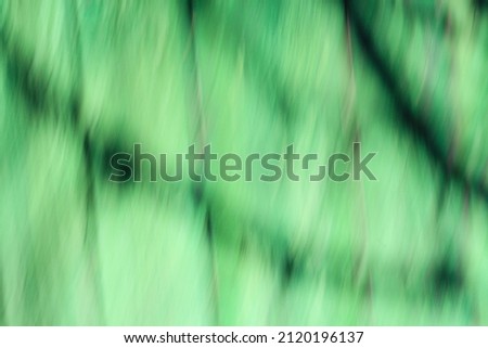  Blurred effect green color background with tree shadows silhouette .Horizontal image