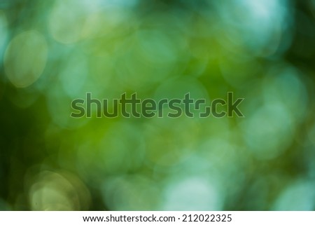 nature forest bokeh background