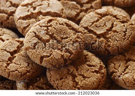 A group of ginger snaps Royalty-Free Stock Photo #212023036