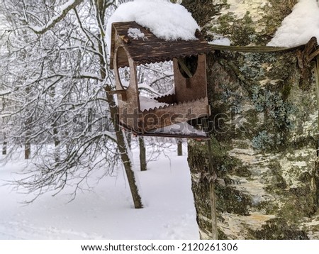 old and broken wooden birdhouse hanging on a tree in the park in the winter season covered with snow
